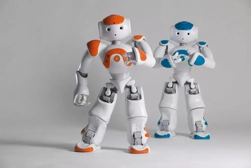 雙臂協作機器人 智能機器人管家的雛形與未來發展趨勢